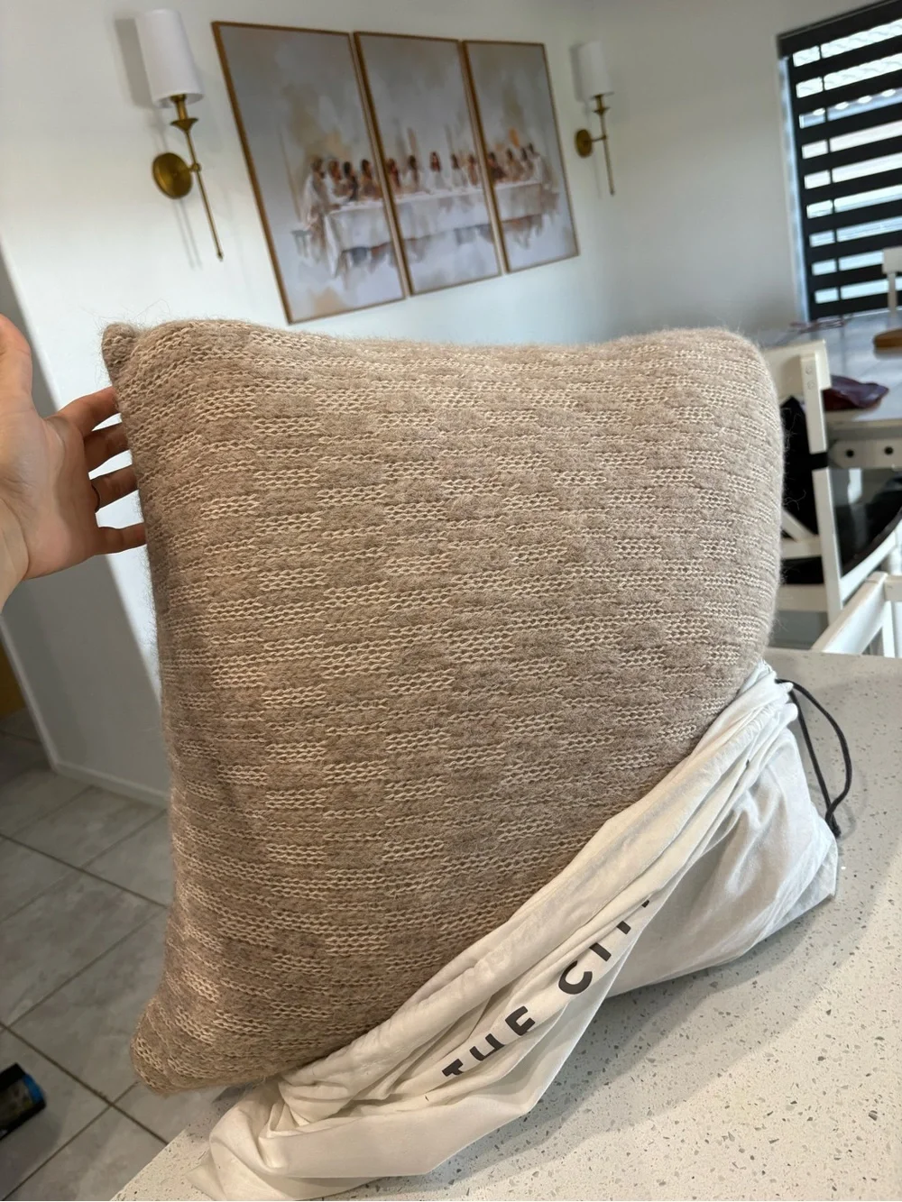 NEW The Citizenry Square Decorative Pillow The Carrizo Alpaca Bouncle 20x20